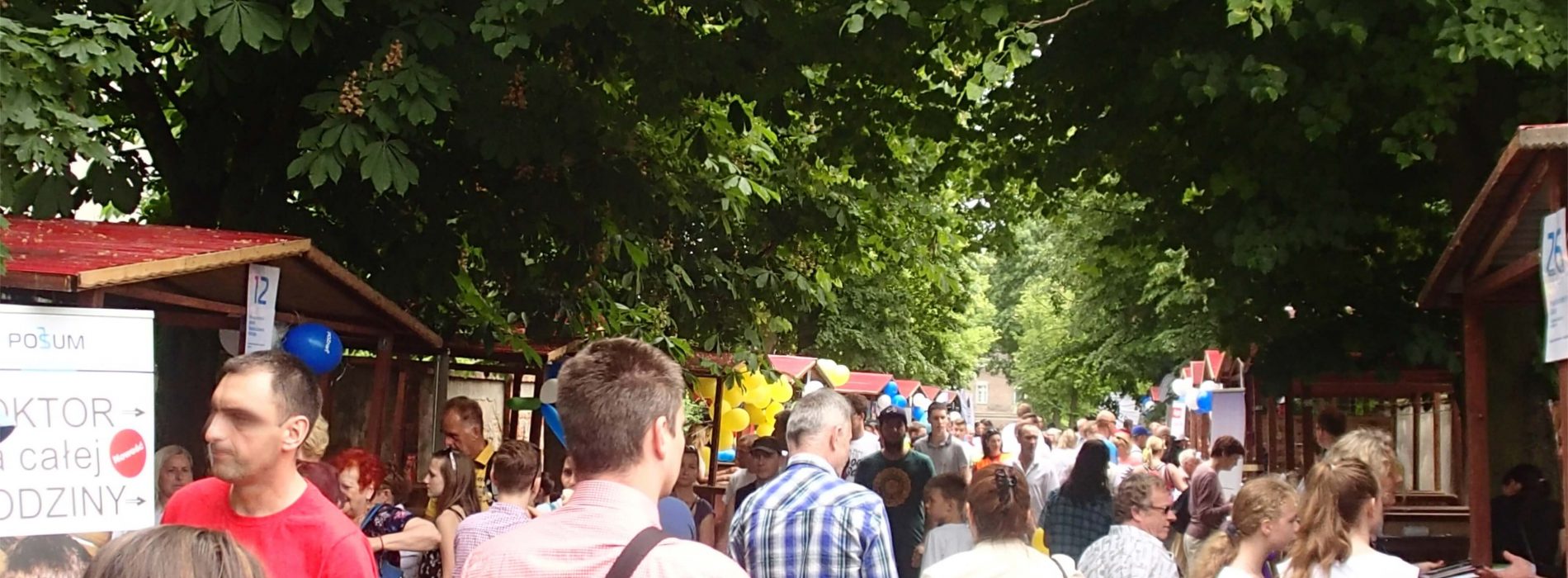 Poznań – festyn na Ostrowie Tumskim pełen zdrowia i kolorów