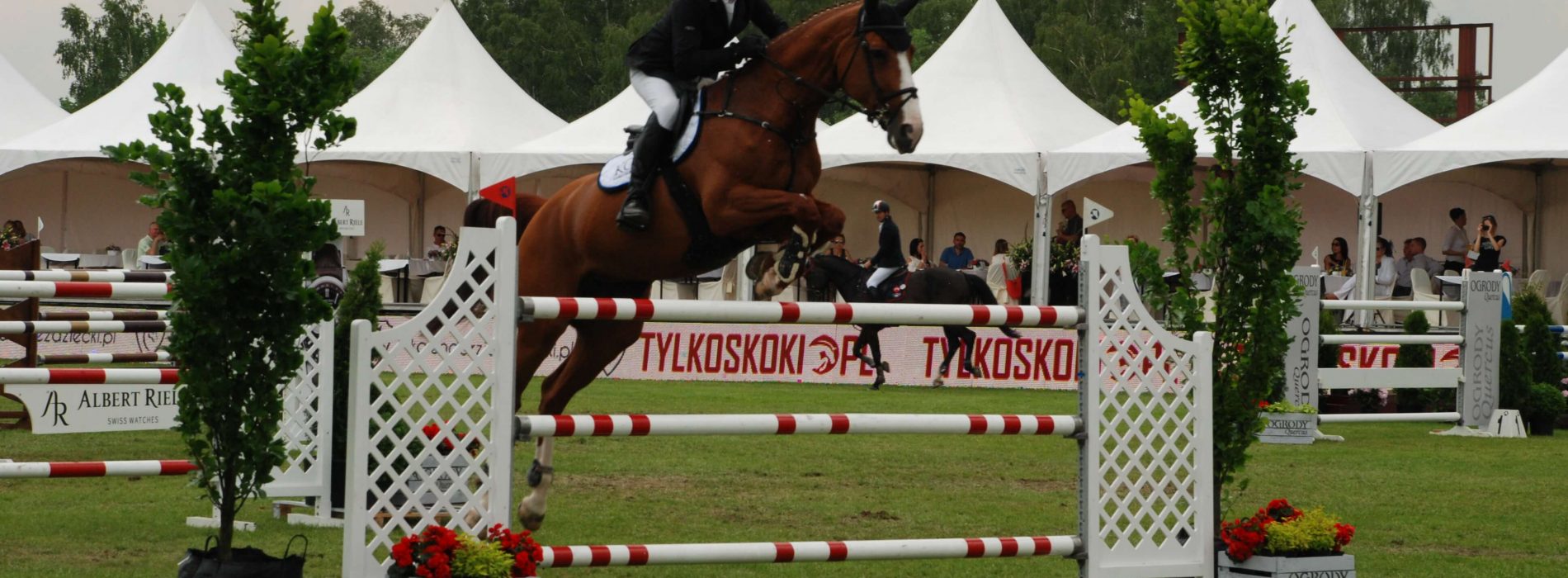 Poznań – Dziś trzeci dzień Cavaliady