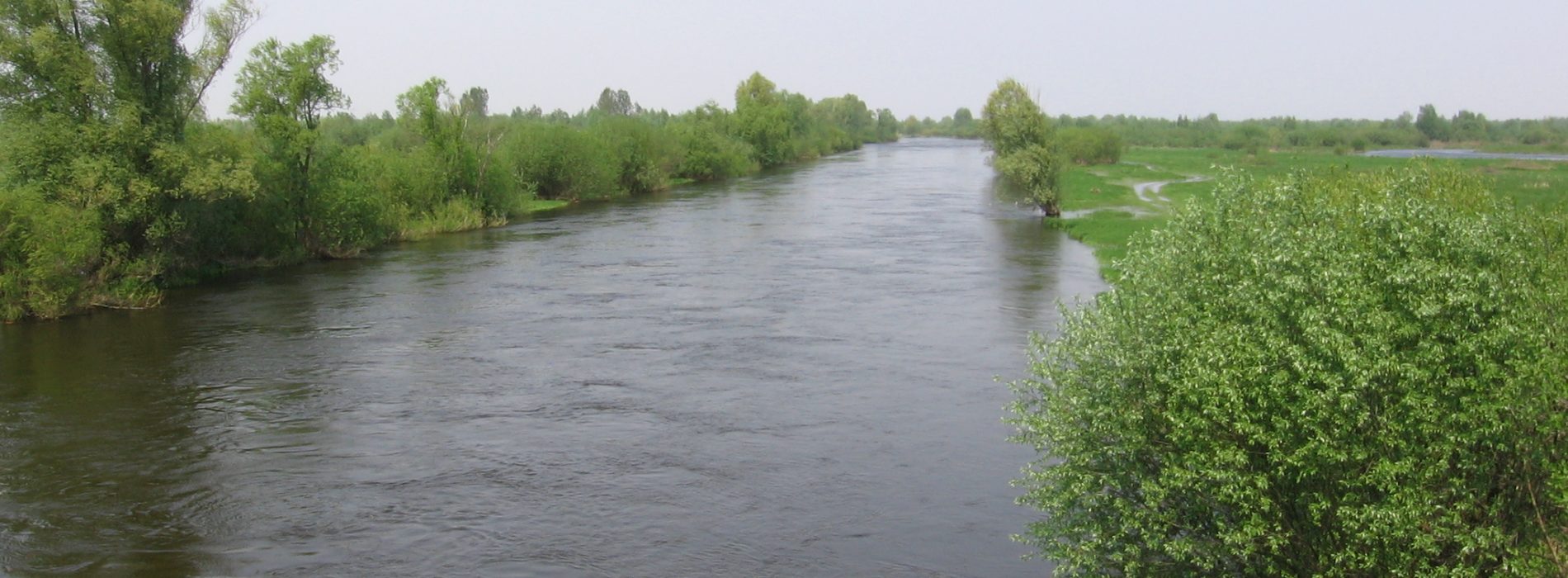 Puszczykowo – matka z synem wpadli do Warty. Kobieta nie żyje. Trwają poszukiwania dziecka