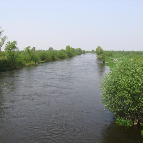 Puszczykowo – matka z synem wpadli do Warty. Kobieta nie żyje. Trwają poszukiwania dziecka