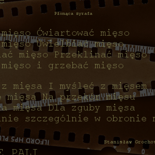 Leszno – „Miasto Grochowiaka” wyzwanie dla licealistów