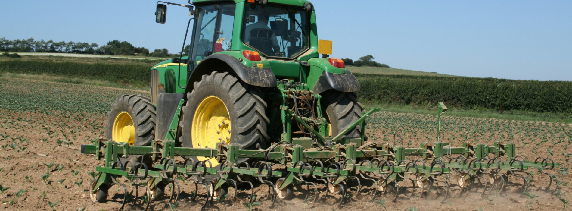 Ile kosztuje używany ciągnik rolniczy John Deere? Przegląd dostępnych modeli na Mascus