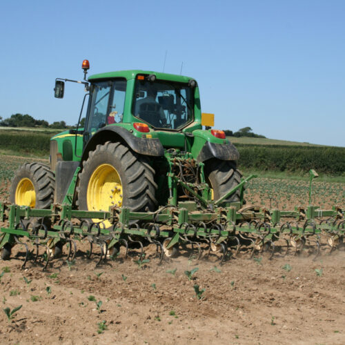 Ile kosztuje używany ciągnik rolniczy John Deere? Przegląd dostępnych modeli na Mascus