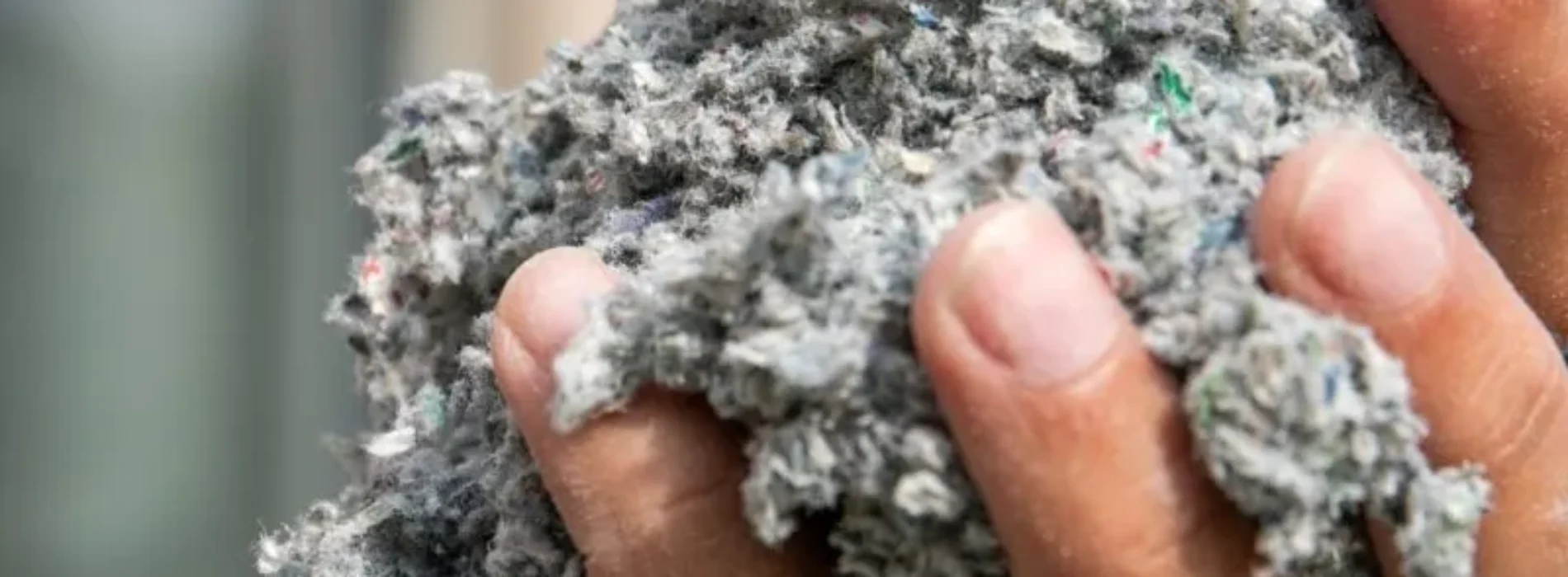 5 powodów, dla których samodzielna walka z kuną kończy się porażką