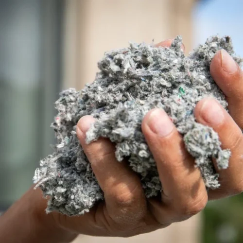 5 powodów, dla których samodzielna walka z kuną kończy się porażką